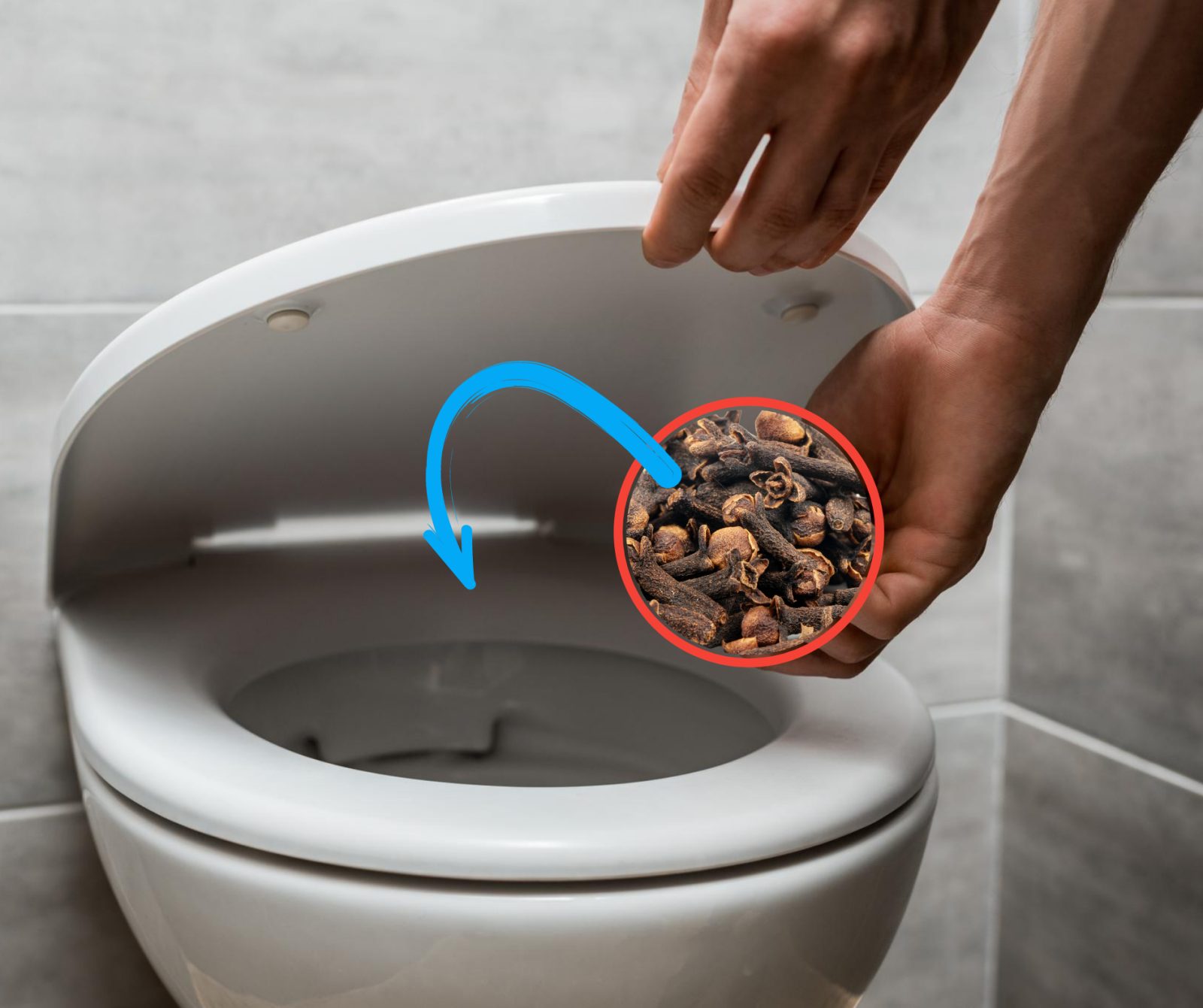 Avec cette astuce à base de clous de girofles, dites adieu aux mauvaises odeurs dans les toilettes 1 Avec cette astuce à base de clous de girofles, dites adieu aux mauvaises odeurs dans les toilettes Clous de girofle dans les toilettes