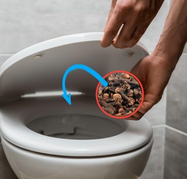 Clous de girofle dans les toilettes