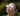 Capture decran 2024 04 01 052510 Éclipse: astuce rapide pour tester la sécurité de vos lunettes