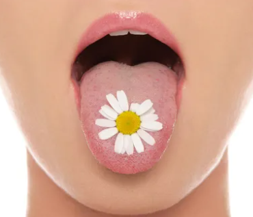 Capture decran 2024 04 18 162829 Pourquoi Ma Langue Est-Elle Blanche ? Voici Quoi Faire