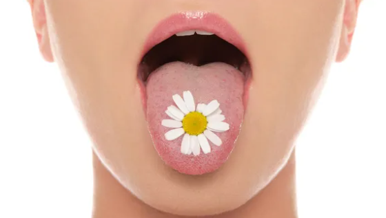 Pourquoi Ma Langue Est-Elle Blanche ? Voici Quoi Faire 1 Pourquoi Ma Langue Est-Elle Blanche ? Voici Quoi Faire Capture decran 2024 04 18 162829 Pourquoi Ma Langue Est-Elle Blanche ? Voici Quoi Faire