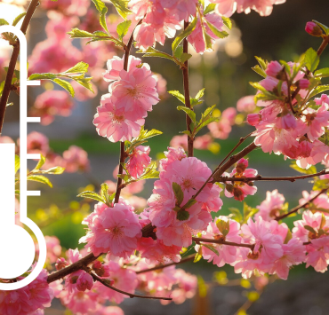 Design sans titre 4 Les prévisions pour mai : un mois à surveiller