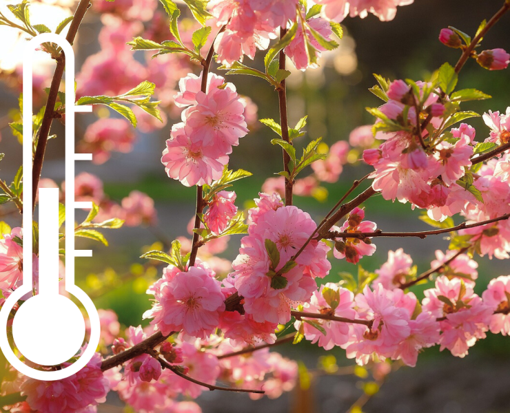 Design sans titre 4 Les prévisions pour mai : un mois à surveiller