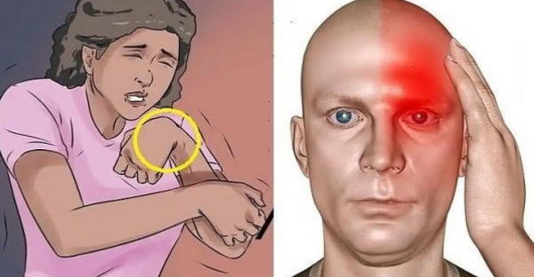 Un mois avant un AVC, votre corps vous avertit : 10 signaux à ne pas ignorer 1 Un mois avant un AVC, votre corps vous avertit : 10 signaux à ne pas ignorer avcc 600x312 1 Un mois avant un AVC, votre corps vous avertit : 10 signaux à ne pas ignorer