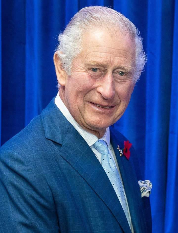 charlesssssss Le roi Charles III cherche une femme de ménage avec un salaire hallucinant
