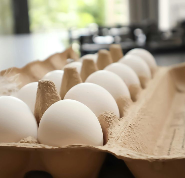 pexels teun nijn 17903969 Des œufs plus petits au Québec : Vrai ou faux ?