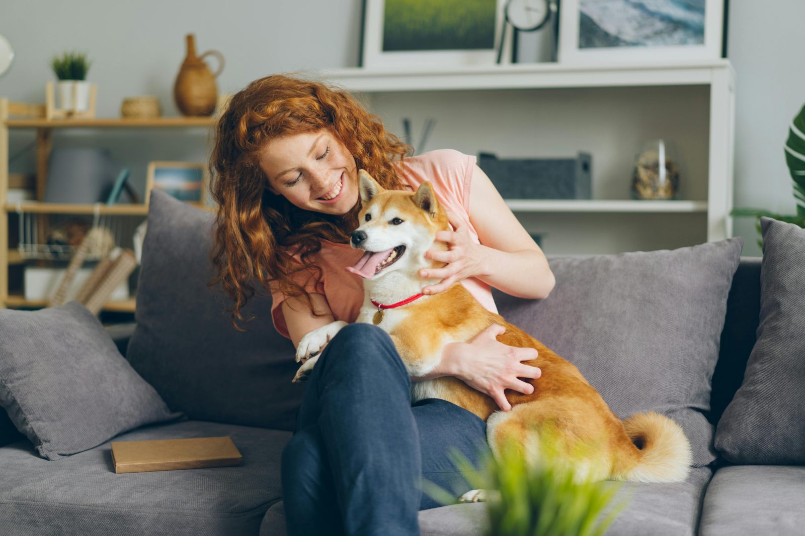 Augmentation vertigineuse des coûts : avoir un chien est-il devenu un luxe ? 1 Augmentation vertigineuse des coûts : avoir un chien est-il devenu un luxe ? pexels vitaly gariev 20883966 Augmentation vertigineuse des coûts : avoir un chien est-il devenu un luxe ?