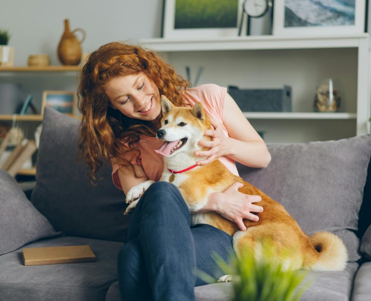 pexels vitaly gariev 20883966 Augmentation vertigineuse des coûts : avoir un chien est-il devenu un luxe ?