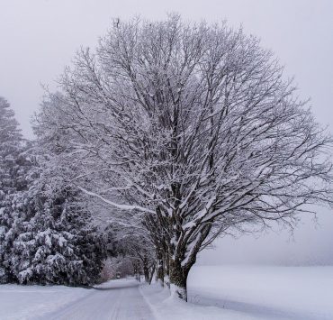 snow 8435305 1280 Ne rangez pas vos pelles trop vite, les prochains jours pourraient vous réserver des surprises