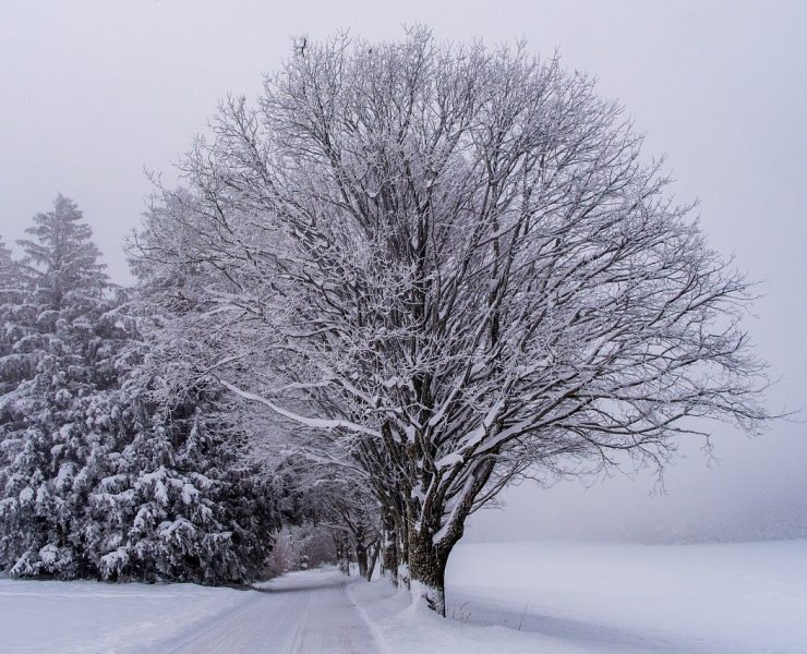 snow 8435305 1280 Ne rangez pas vos pelles trop vite, les prochains jours pourraient vous réserver des surprises