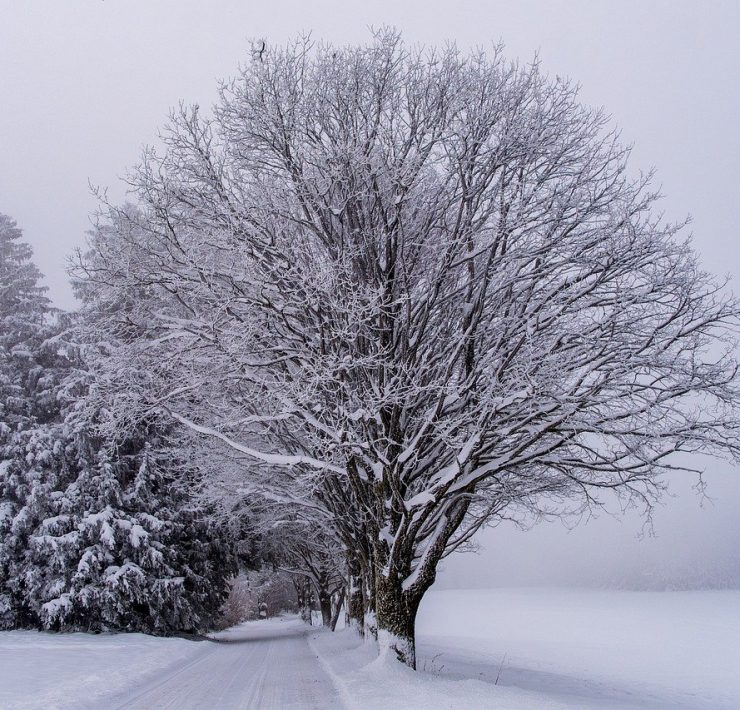 snow 8435305 1280 Ne rangez pas vos pelles trop vite, les prochains jours pourraient vous réserver des surprises