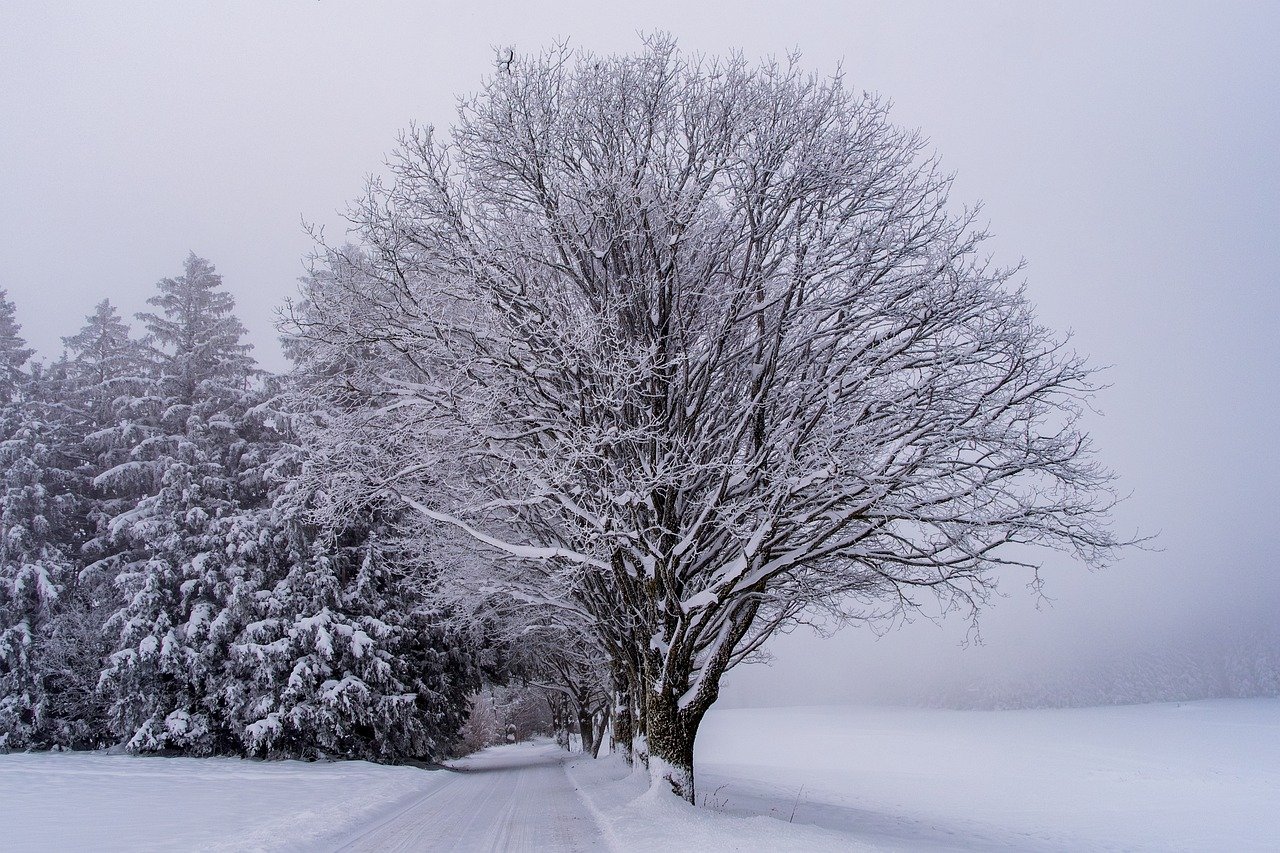 Ne rangez pas vos pelles trop vite, les prochains jours pourraient vous réserver des surprises 1 Ne rangez pas vos pelles trop vite, les prochains jours pourraient vous réserver des surprises snow 8435305 1280 Ne rangez pas vos pelles trop vite, les prochains jours pourraient vous réserver des surprises