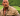 Capture decran 2024 05 25 230001 Transformé, Dwayne Johnson se révèle méconnaissable sur le plateau de son dernier film
