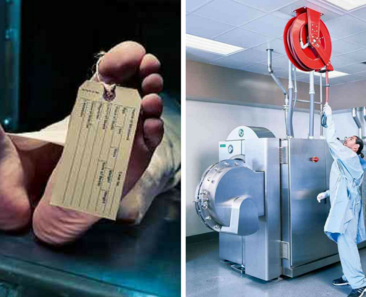 Les corps des humains ne seront ni enterres ni incineres a lavenir 1 1 1200x628 1 Les corps des humains ne seront ni enterrés ni incinérés à l’avenir