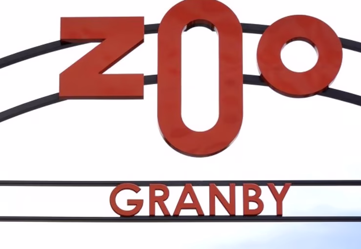 YXJ0aWNsZXMvVDZKNlBJVG5DV1VoZ3NadVVLcE4vZDk3NWQxODE2OWMzNGQxOThhNGQvZTc1MmNiOGEtYTczYi00ZDhjLWI0NjUtMTcxNzEzNDIzMGQ1LnBuZw Le Zoo de Granby partage une triste nouvelle