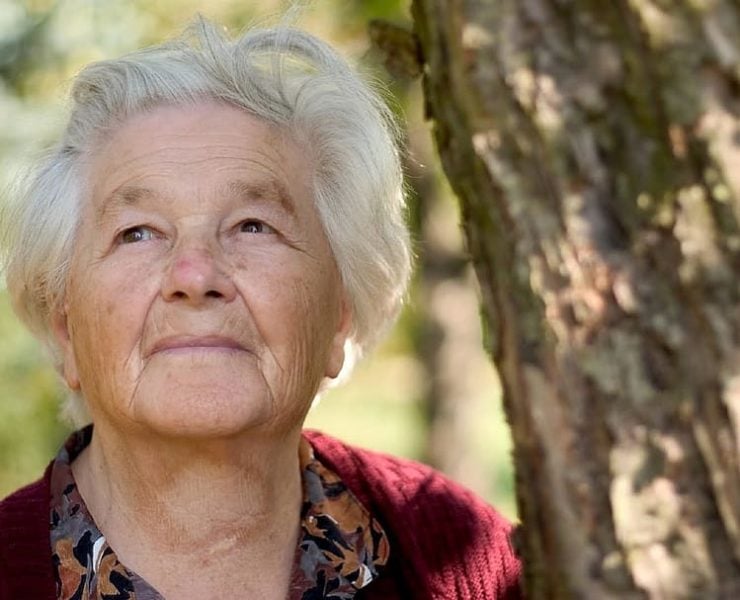 andrea taylor old women Une femme de 89 ans écartée de la classe affaires surprend tout le monde en dévoilant son identité cachée