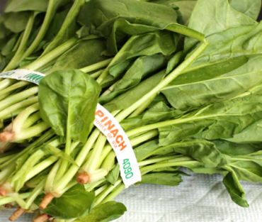 Ces 10 légumes qui contiennent plus de fer que la viande 3 Ces 10 légumes qui contiennent plus de fer que la viande epinards 600x313 1 Ces 10 légumes qui contiennent plus de fer que la viande