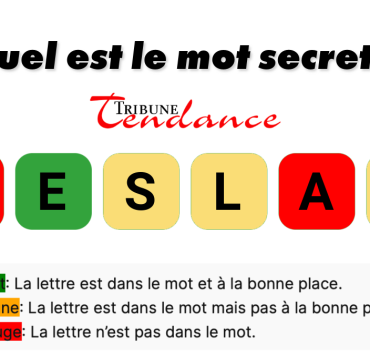 game virale image senile 4 Defi du 17 mai 6 lettres !
