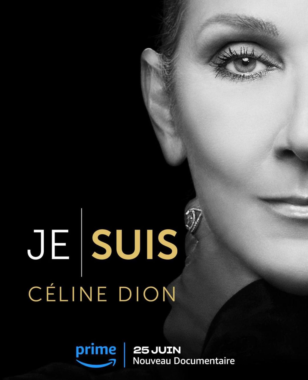 449145190 1012169623598980 323559553029985699 n Mélissa Bédard brise le silence sur la vraie Céline Dion