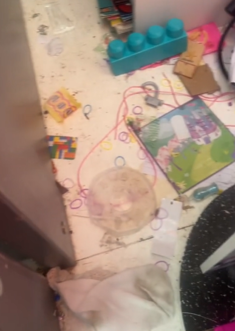 Capture decran 2024 06 25 161315 Mère Influenceuse Accusée de Négligence: Elle Reçoit la Visite des Policiers Après Avoir Filmé sa Maison