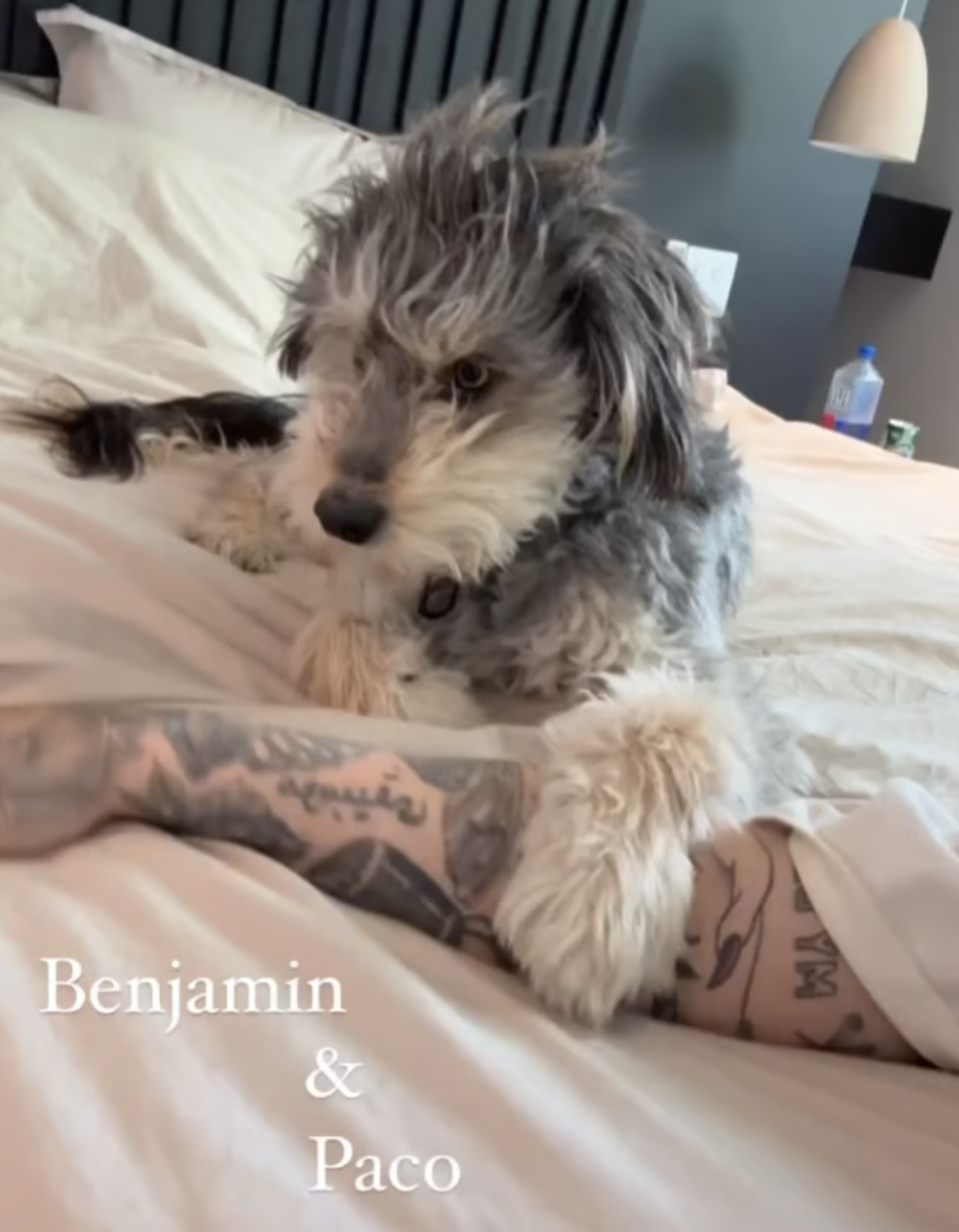 Roxane Bruneau brise le silence sur les réseaux sociaux après sa séparation 2 Roxane Bruneau brise le silence sur les réseaux sociaux après sa séparation Capture decran le 2024 06 19 a 17.31.42 Roxane Bruneau brise le silence sur les réseaux sociaux après sa séparation