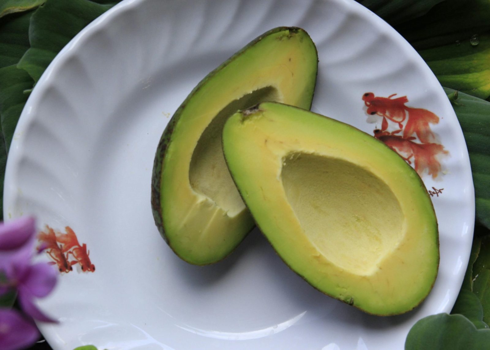 Voici la solution rapide pour faire mûrir un avocat en 2 minutes 1 Voici la solution rapide pour faire mûrir un avocat en 2 minutes pexels anne 363161 997390 scaled e1719337384423 Voici la solution rapide pour faire mûrir un avocat en 2 minutes