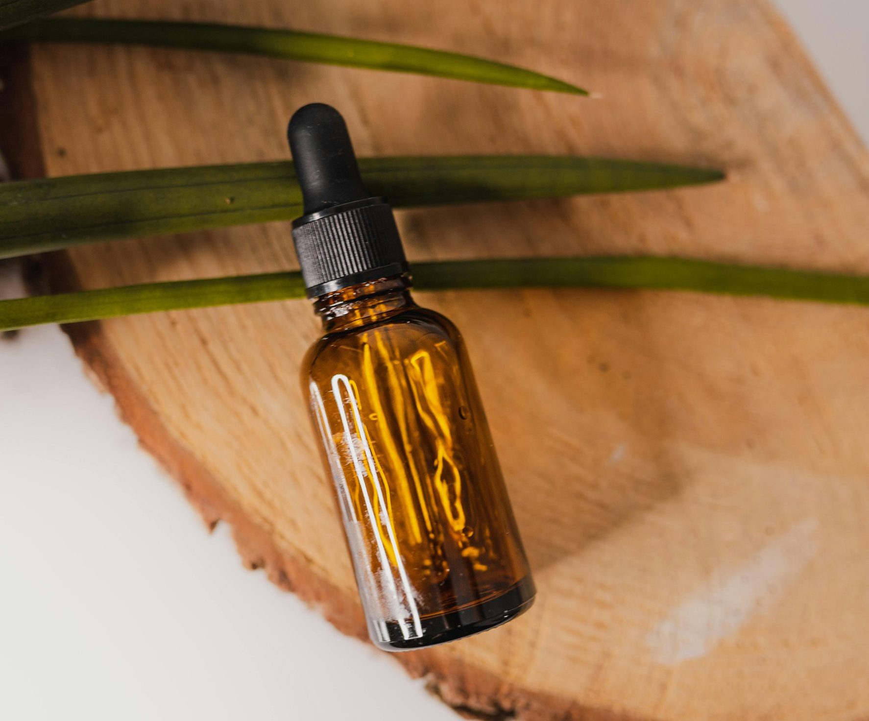 pexels punchbrandstock 5462207 scaled e1717531771136 Protégez-vous des Tiques Cet Été avec Cette Huile Essentielle