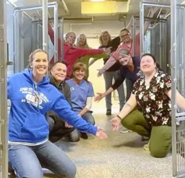 Capture decran 2024 07 22 101811 Un événement historique : Un refuge pour animaux se vide entièrement pour la première fois en 47 ans !