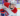 Capture decran 2024 07 27 094040 e1722088661153 Quatre Mois d'Absence pour Harvey-Pinard : Un Coup Dur pour le CH