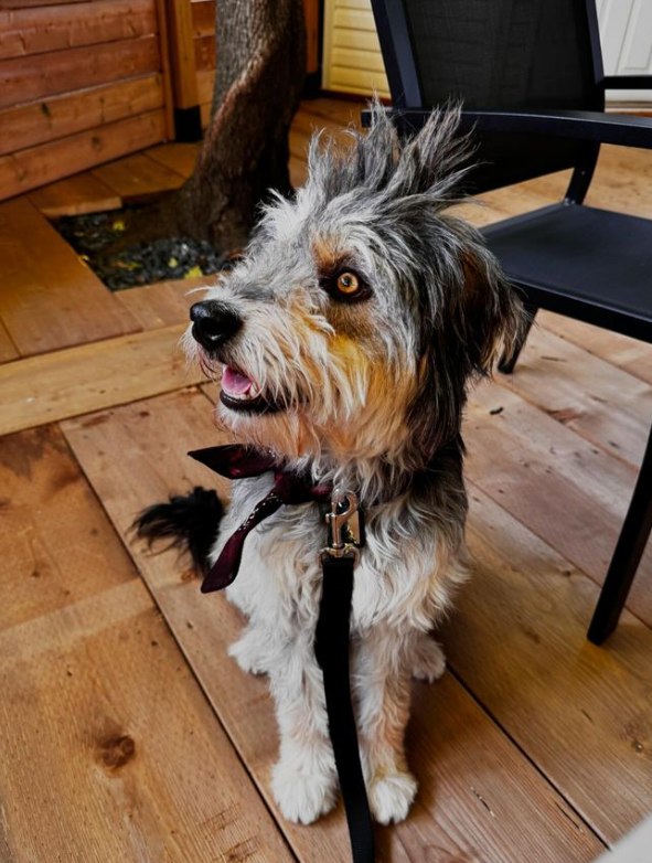 Capture decran 2024 07 30 172521 [En photo] Roxane Bruneau Garde Contact Avec Son Ex Belle-Fille