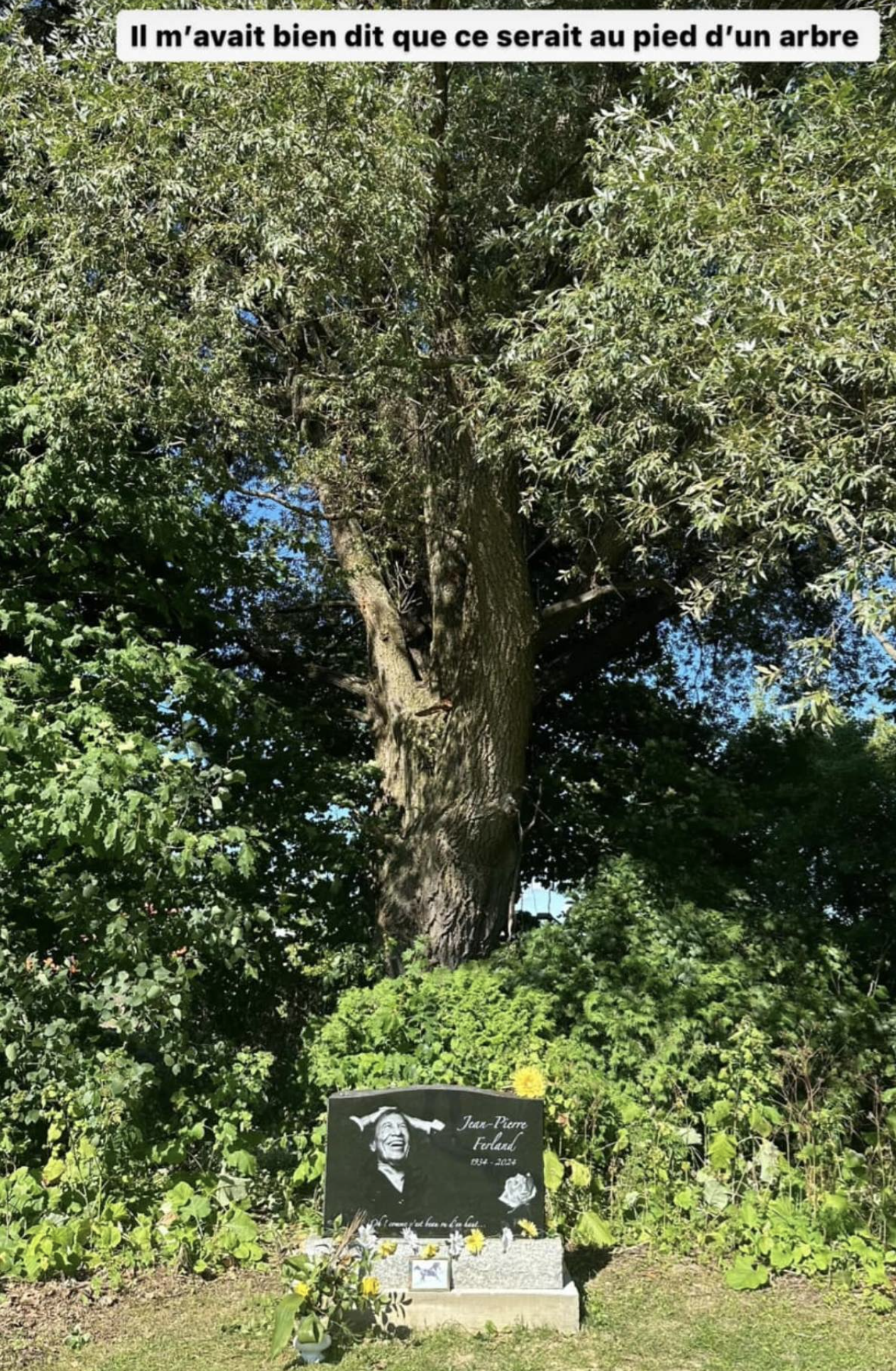 André Robitaille rend hommage à Jean-Pierre Ferland avec une photo de sa pierre tombale 3 André Robitaille rend hommage à Jean-Pierre Ferland avec une photo de sa pierre tombale Capture decran le 2024 07 22 a 14.31.51 André Robitaille rend hommage à Jean-Pierre Ferland avec une photo de sa pierre tombale