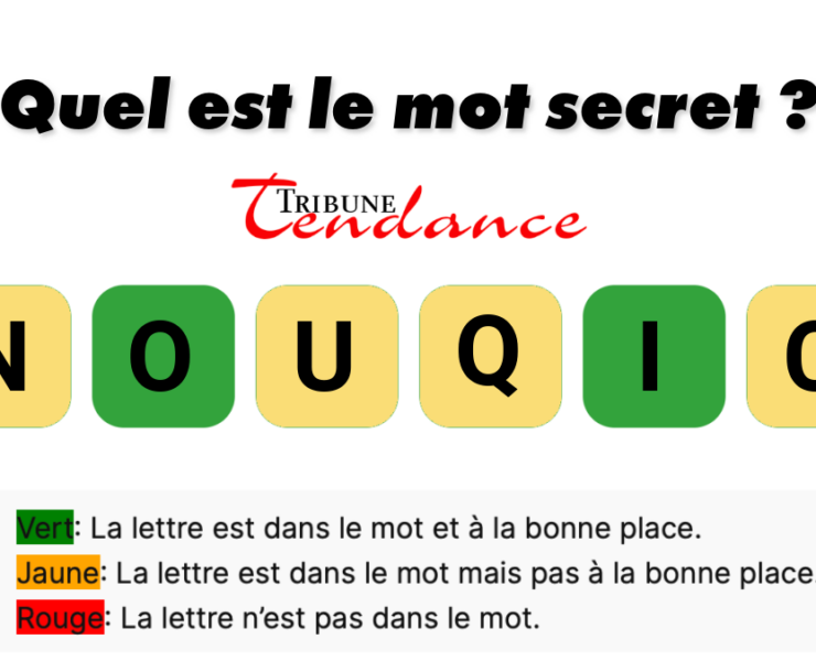 game virale image coquin 3 &Eacute;levez votre QI avec un d&eacute;fi de 6 lettres!