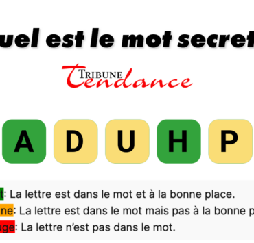 game virale image dauphin 2 Éveillez votre QI avec un défi de 7 lettres!