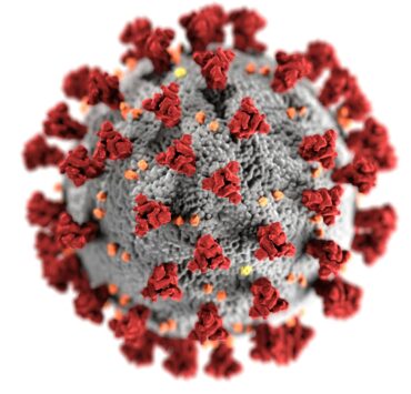 COVID-19 : Une nouvelle vague imminente cet été ? 3 COVID-19 : Une nouvelle vague imminente cet été ? pexels cdc library 3992933 COVID-19 : Une nouvelle vague imminente cet été ?