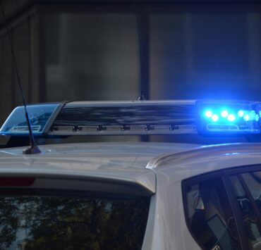 pexels pixabay 532001 2 Un Pitbull Maltraité aux Blessures Sévères est Saisi chez un Couple Au Québec