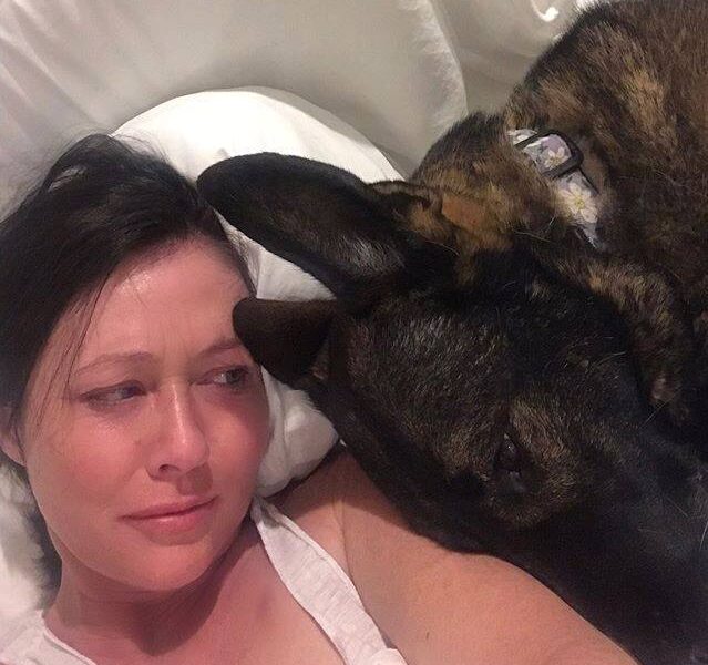 shannon e1721075606760 Shannen Doherty meurt à 53 ans avec son chien Bowie à son côté
