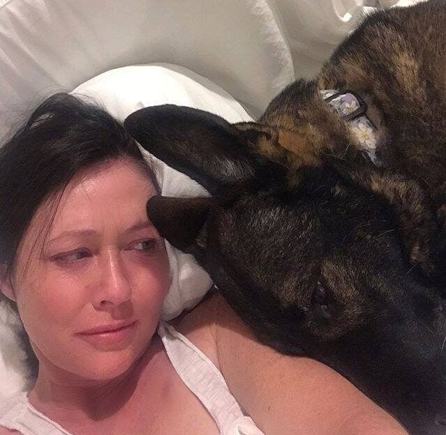 Shannen Doherty meurt à 53 ans avec son chien Bowie à son côté 1 Shannen Doherty meurt à 53 ans avec son chien Bowie à son côté shannon e1721075606760 Shannen Doherty meurt à 53 ans avec son chien Bowie à son côté