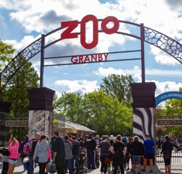 zoog e1720543148303 130 employés du Zoo de Granby déclenchent une grève