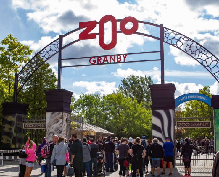 zoog e1720543148303 130 employés du Zoo de Granby déclenchent une grève