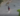 Capture decran 2024 08 16 183406 1 (En vidéo) Un cycliste intrépide tente de traverser la grosse inondation à Montréal