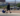 pixelcut export e1723660330525 Tout le Monde Devrait Suivre son Exemple : Cet Homme Protège son Chien De la Canicule d'une Façon Remarquable