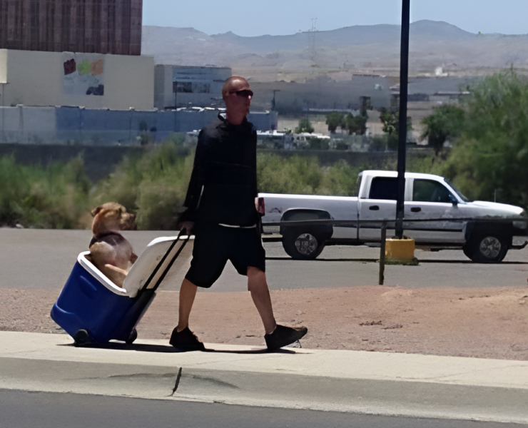 pixelcut export e1723660330525 Tout le Monde Devrait Suivre son Exemple : Cet Homme Prot&egrave;ge son Chien De la Canicule d'une Fa&ccedil;on Remarquable