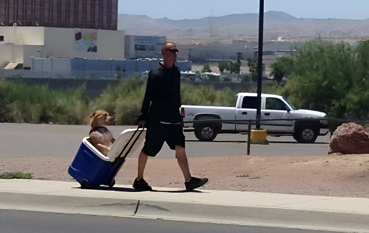 Tout le Monde Devrait Suivre son Exemple : Cet Homme Protège son Chien De la Canicule d'une Façon Remarquable 1 Tout le Monde Devrait Suivre son Exemple : Cet Homme Protège son Chien De la Canicule d'une Façon Remarquable pixelcut export e1723660330525 Tout le Monde Devrait Suivre son Exemple : Cet Homme Protège son Chien De la Canicule d'une Façon Remarquable