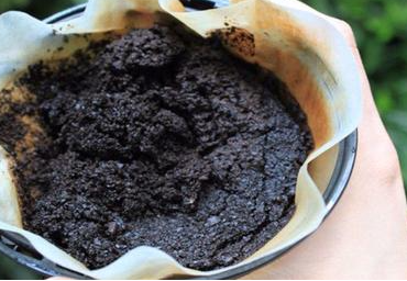 Screenshot 2024 09 03 12.38.08 Trois Astuces de Grand-Mères pour Réutiliser le Marc de Café à la Maison