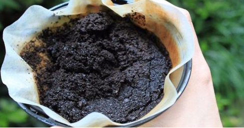 Trois Astuces de Grand-Mères pour Réutiliser le Marc de Café à la Maison 1 Trois Astuces de Grand-Mères pour Réutiliser le Marc de Café à la Maison Screenshot 2024 09 03 12.38.08 Trois Astuces de Grand-Mères pour Réutiliser le Marc de Café à la Maison