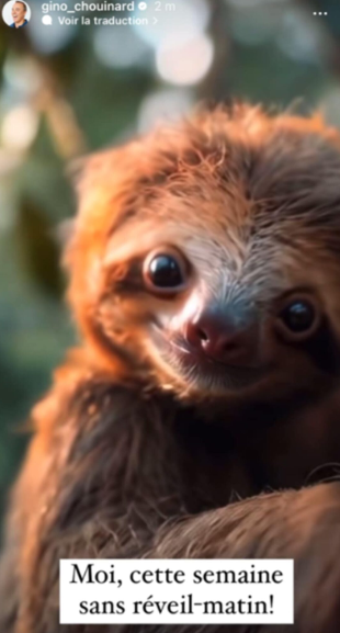 Screenshot 2024 09 05 17.45.10 Gino Chouinard s'adapte à une vie sans réveil matinal après Salut Bonjour