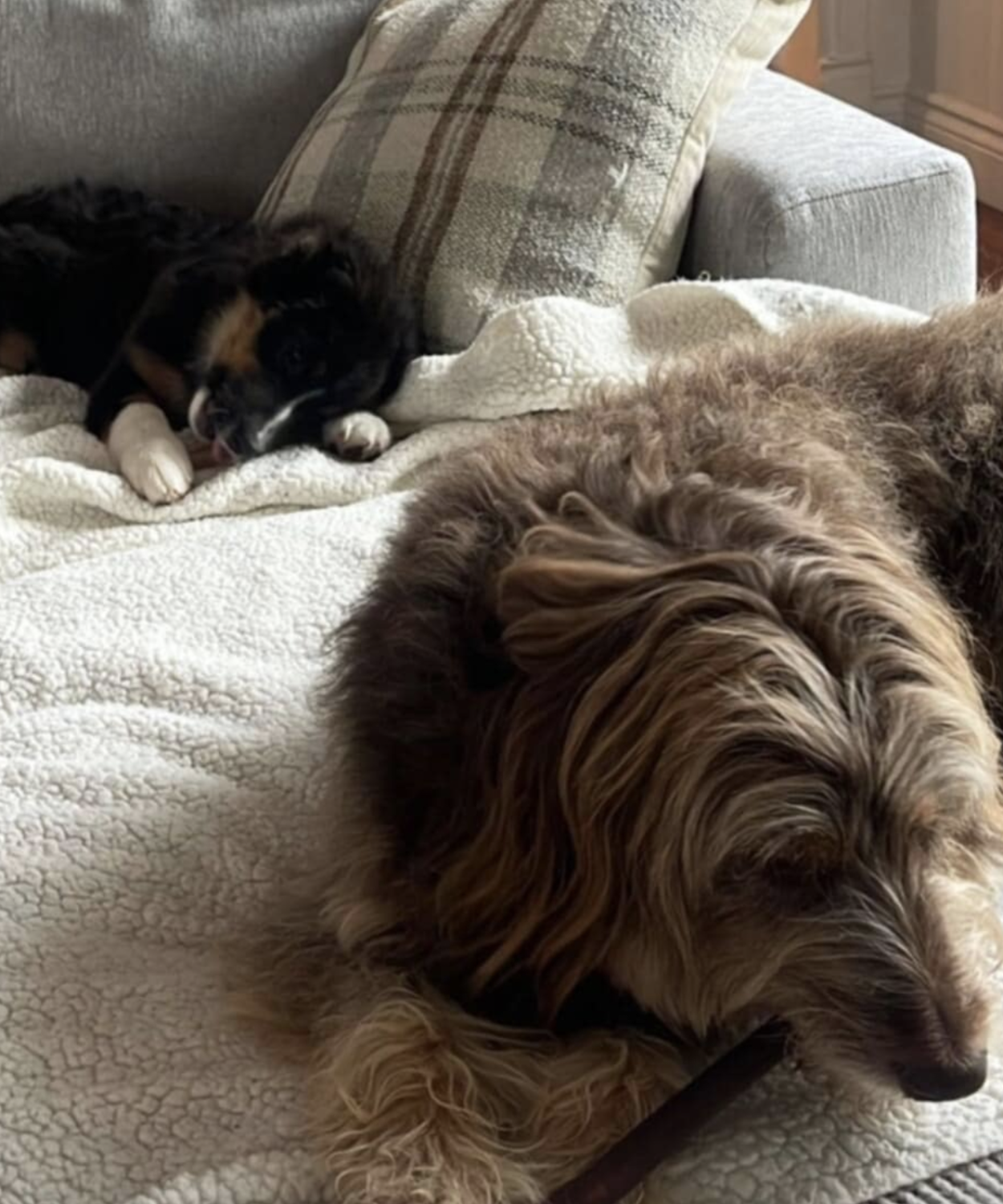 Capture decran le 2024 10 16 a 10.16.19 Julie Bélanger dévoile une grande nouvelle et partage sa joie avec ses fans