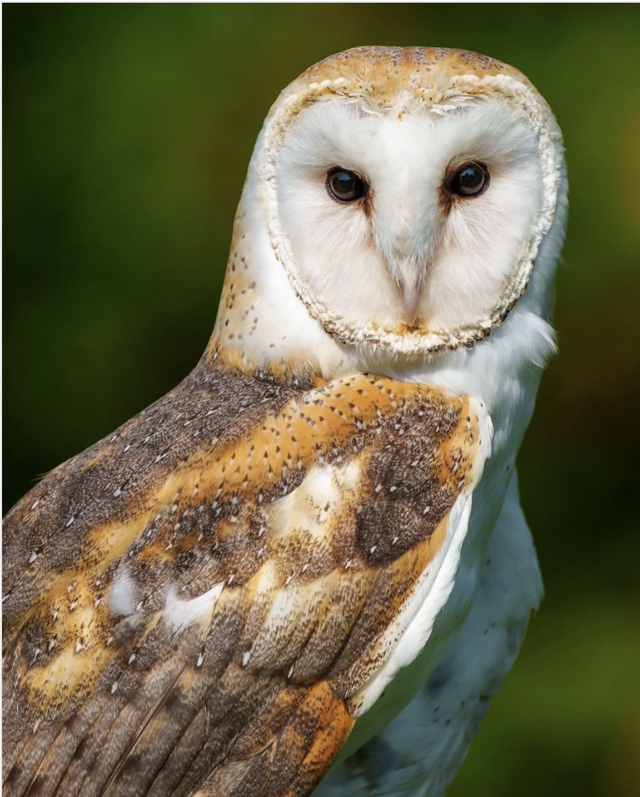 Sophie Thibault révèle en exclusivité un nouveau projet 2 Sophie Thibault révèle en exclusivité un nouveau projet Capture decran le 2024 10 16 a 16.40.47 Sophie Thibault révèle en exclusivité un nouveau projet