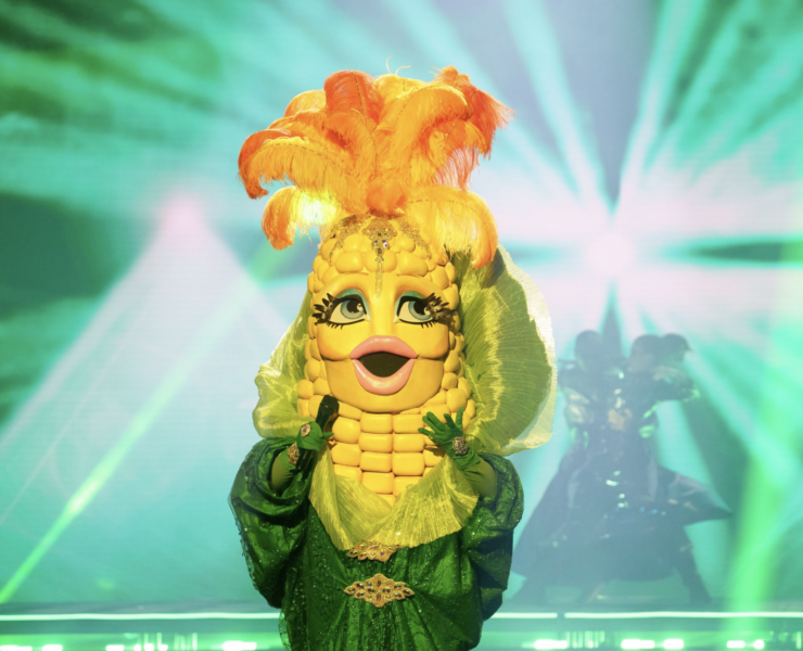 Capture decran le 2024 10 21 a 13.27.21 e1729531748393 Chanteurs masqués : les fans doutent d'une erreur après la performance de Miss Maïs