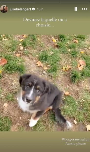 Une nouvelle naissance pour Julie Bélanger ! 3 Une nouvelle naissance pour Julie Bélanger ! Screenshot 2024 10 14 14.49.38 Une nouvelle naissance pour Julie Bélanger !